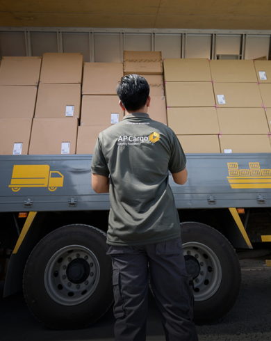 RoRo Shipment